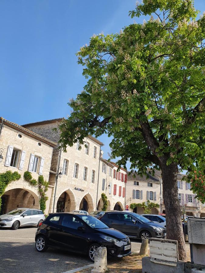 La Cour Saint Louis Panzió Castelnau-Montratier Kültér fotó