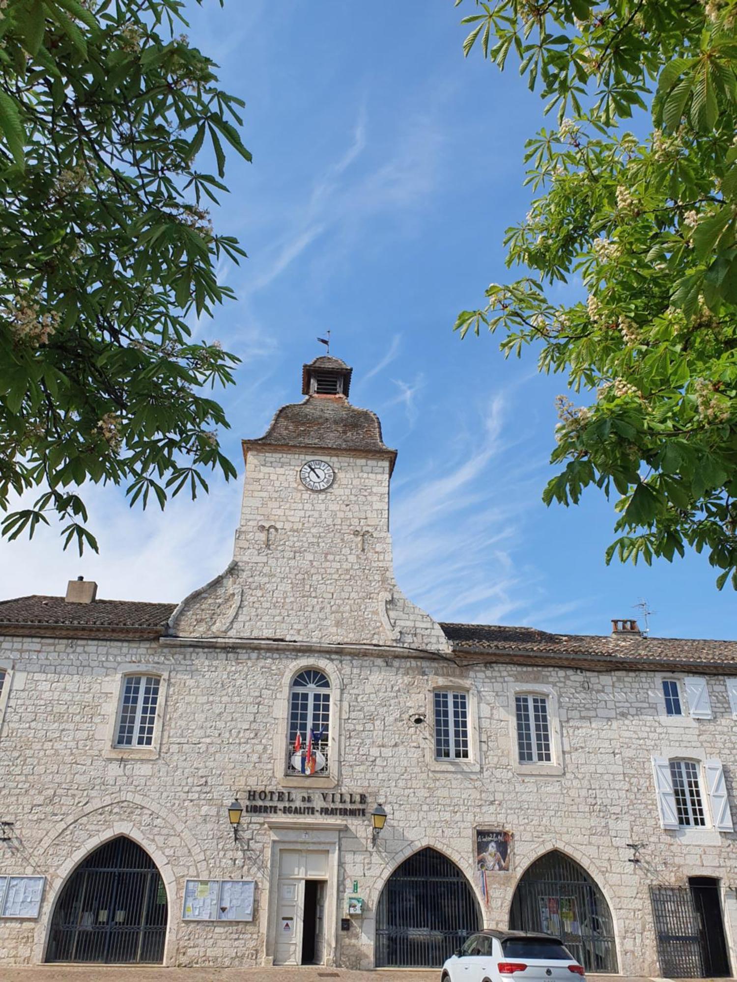 La Cour Saint Louis Panzió Castelnau-Montratier Kültér fotó